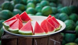 吃瓜网官网,带你领略网络娱乐资讯的盛宴